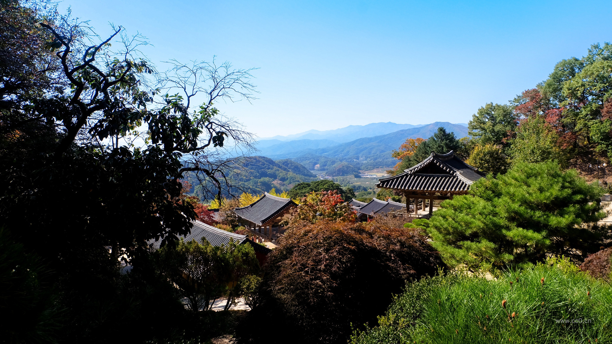 中式山庄建筑图片