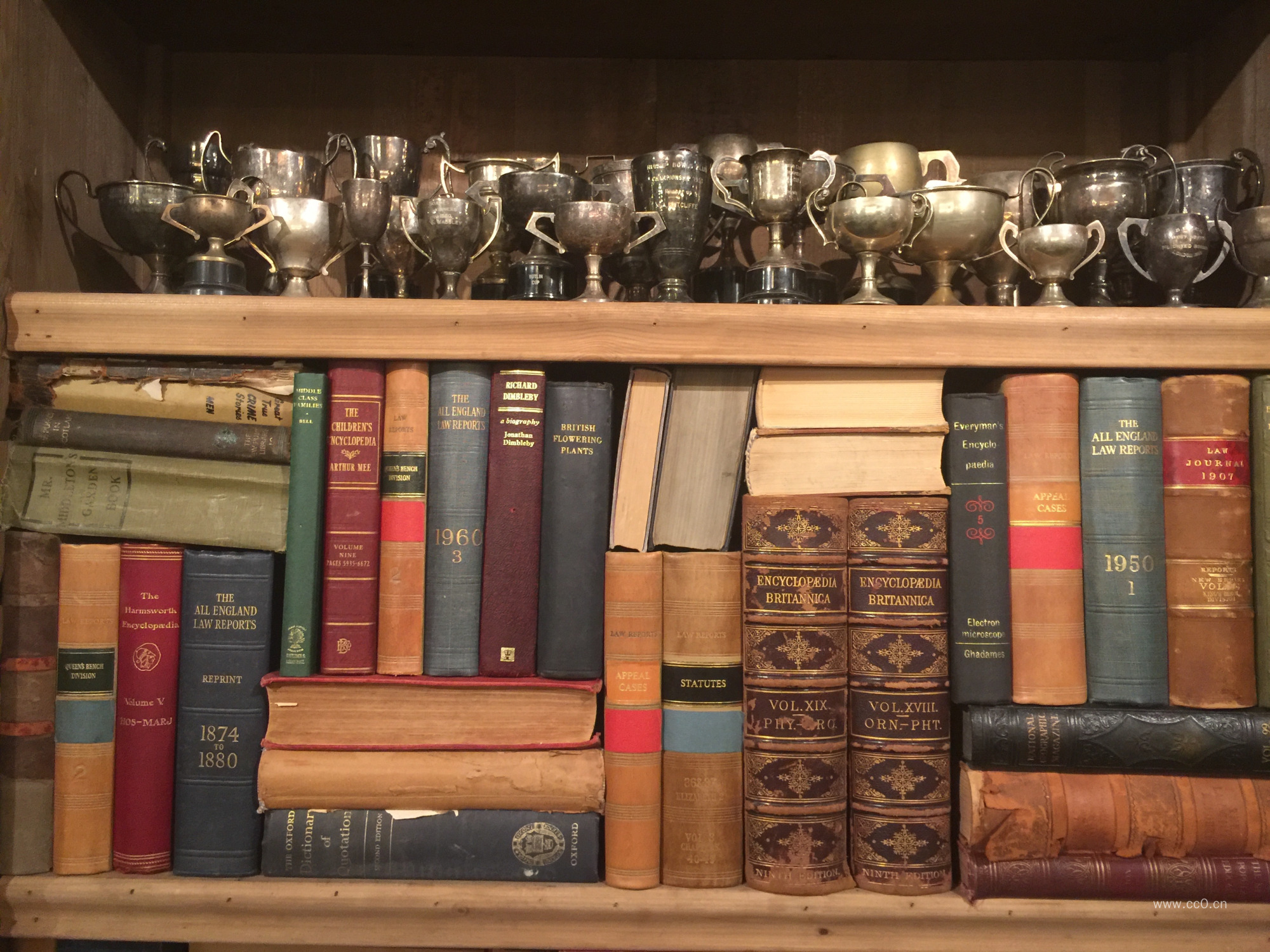 柜子上的书籍与奖杯图片