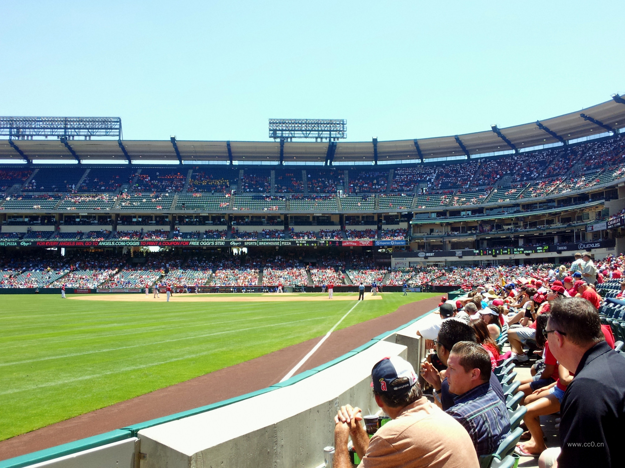 球场看比赛的观众