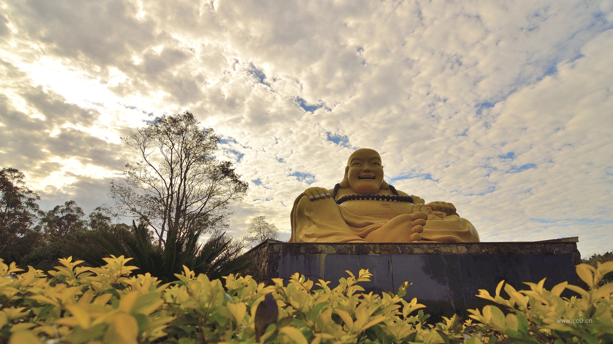 弥来佛佛像图片