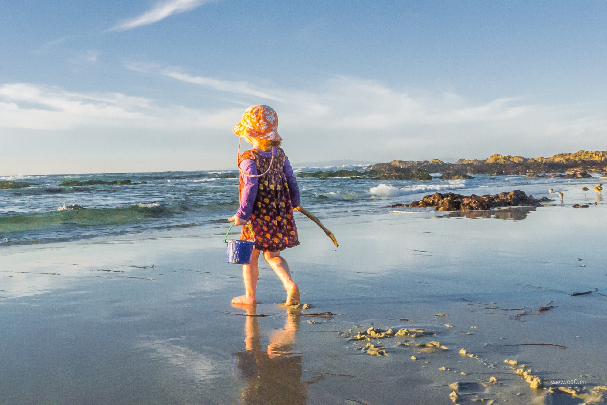 夏日海滩玩耍的小女孩人物背影图片