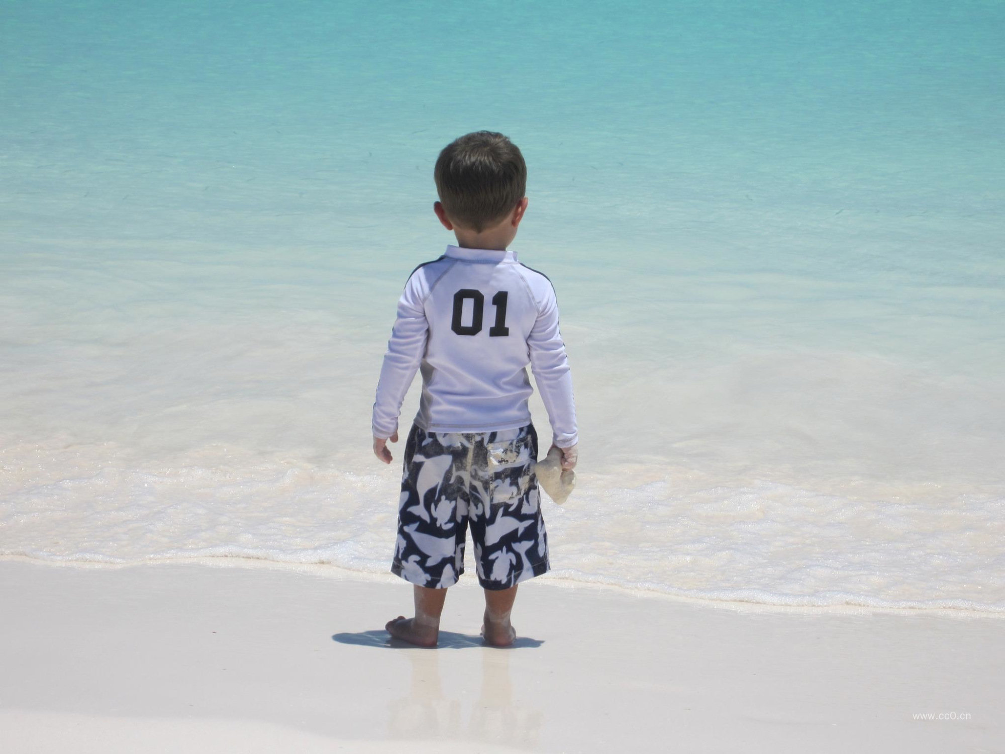 海边的男孩儿童背影