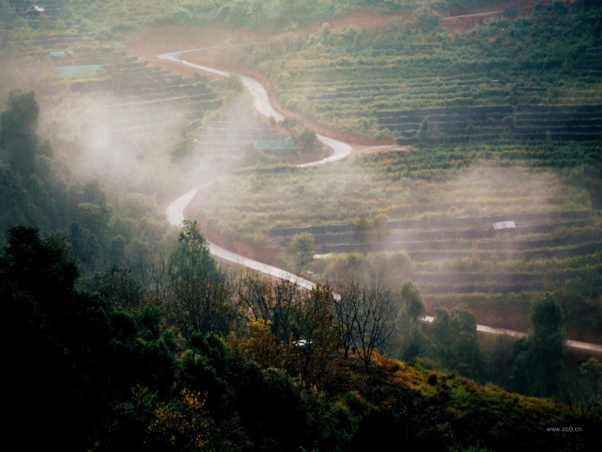 清晨蜿蜒的乡村公路