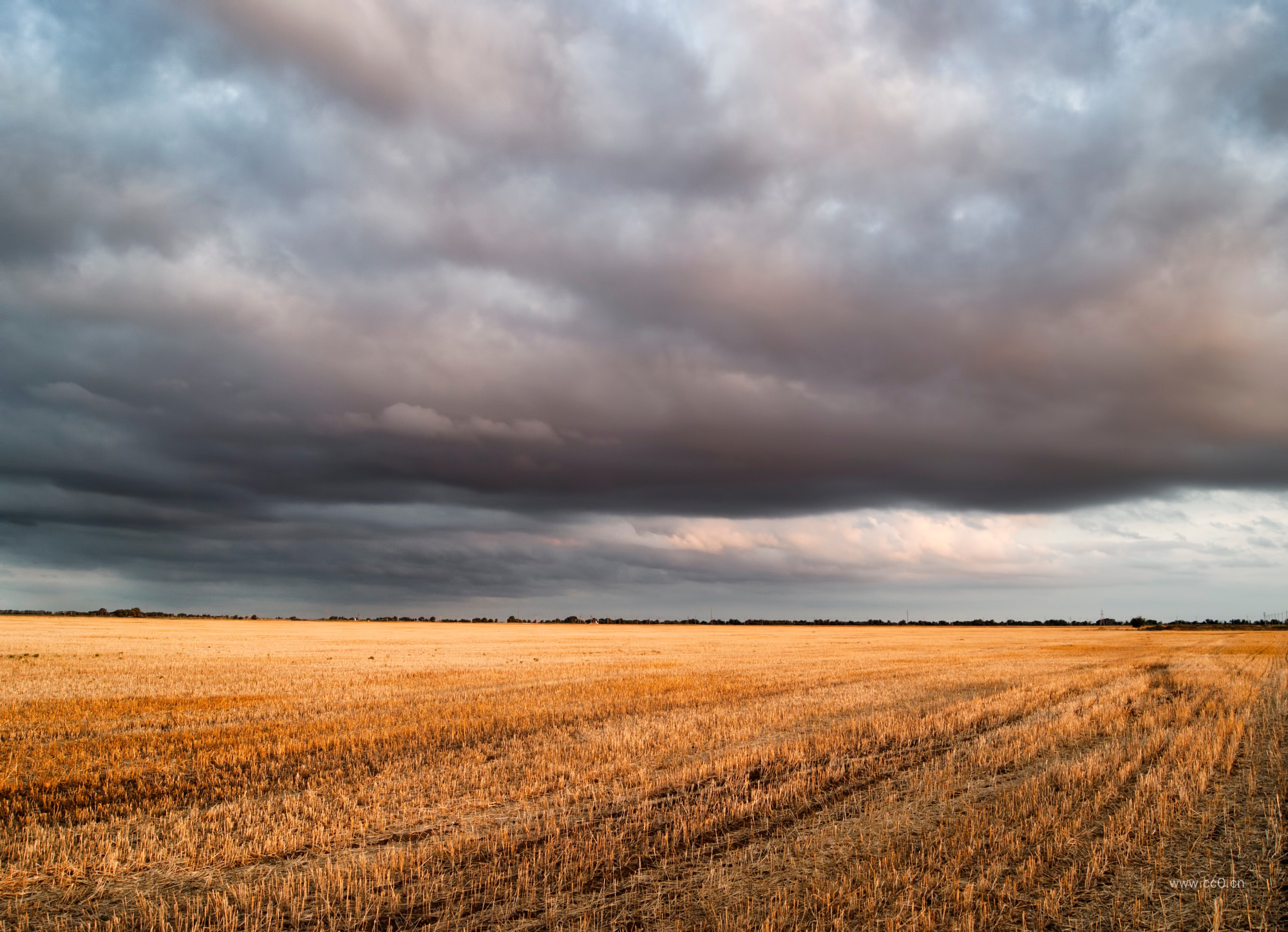 收割后的麦田与天空乌云图片