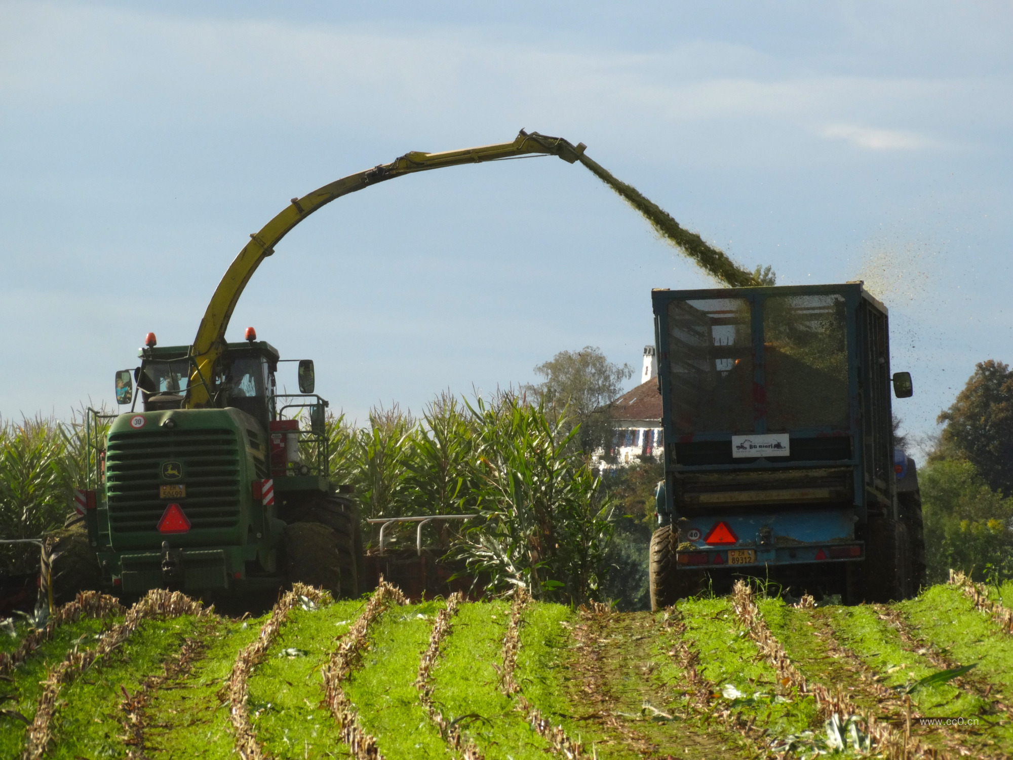 收割玉米的收割机图片