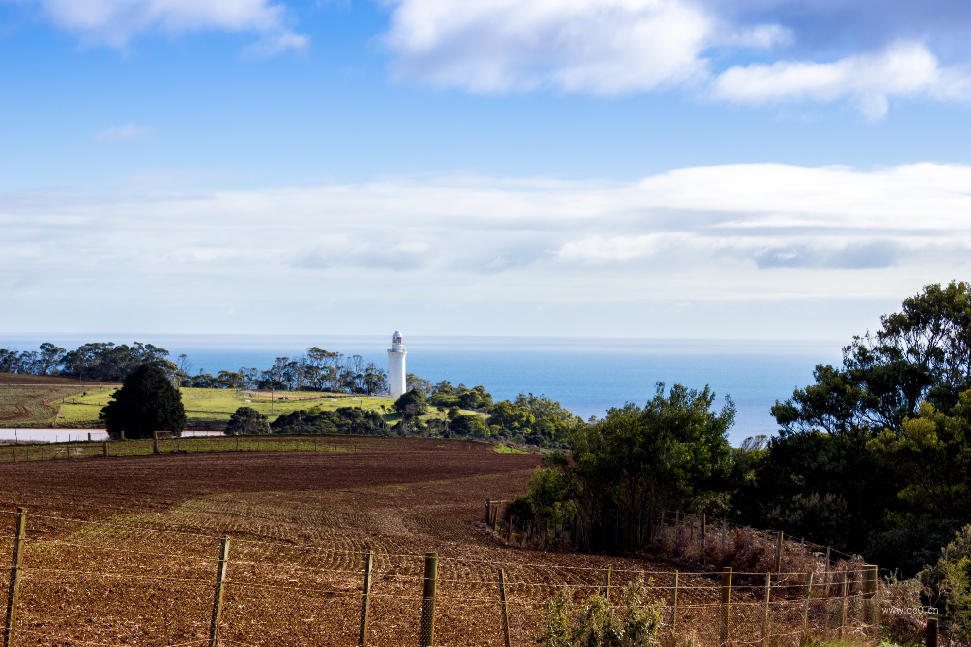 海岸的耕地与栅栏农业图片