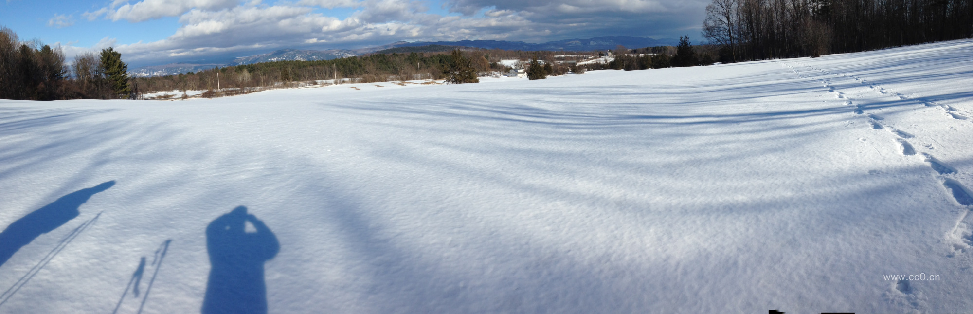 冬天的雪地与脚印图片