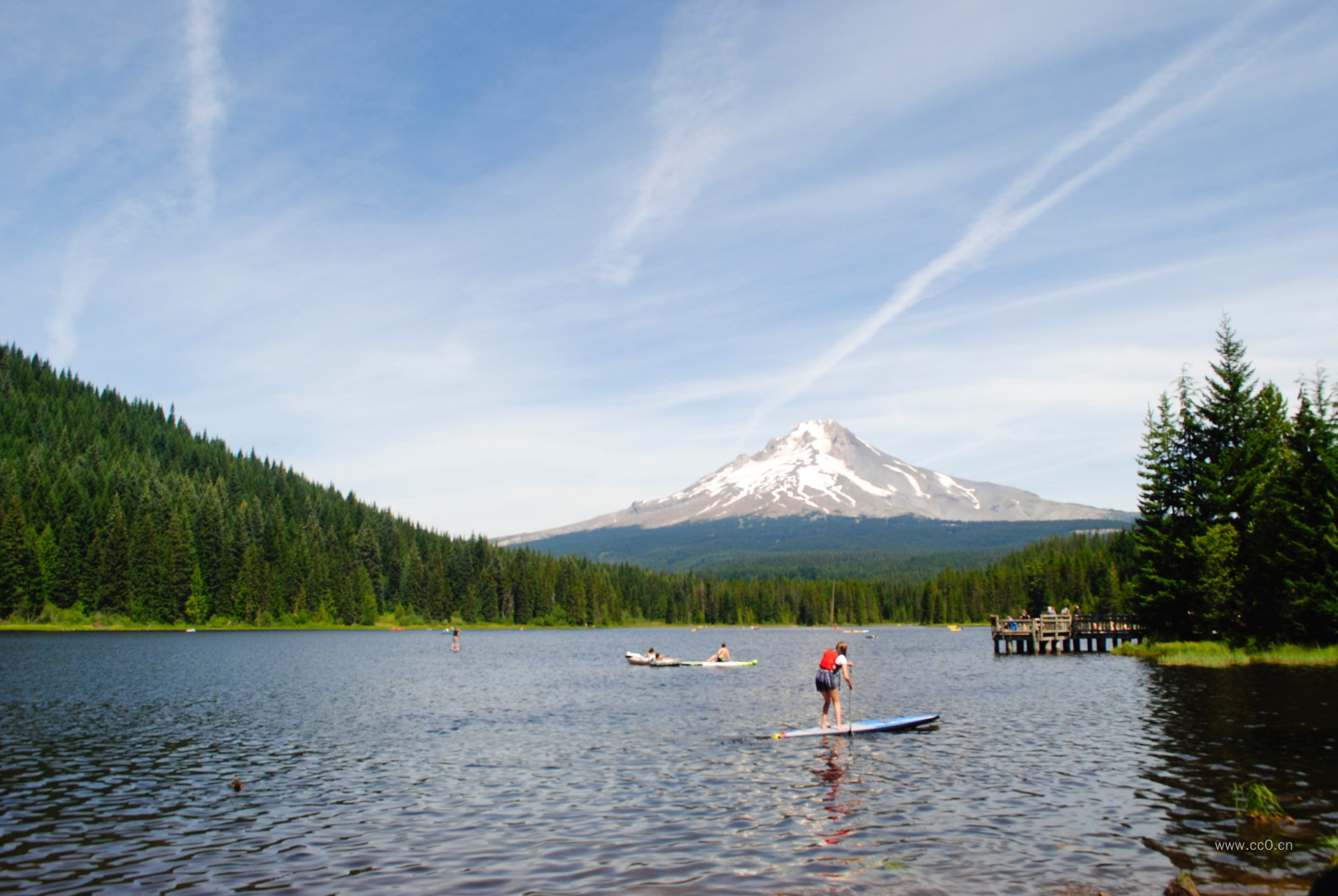 湖泊岸边的树林植被与山风景
