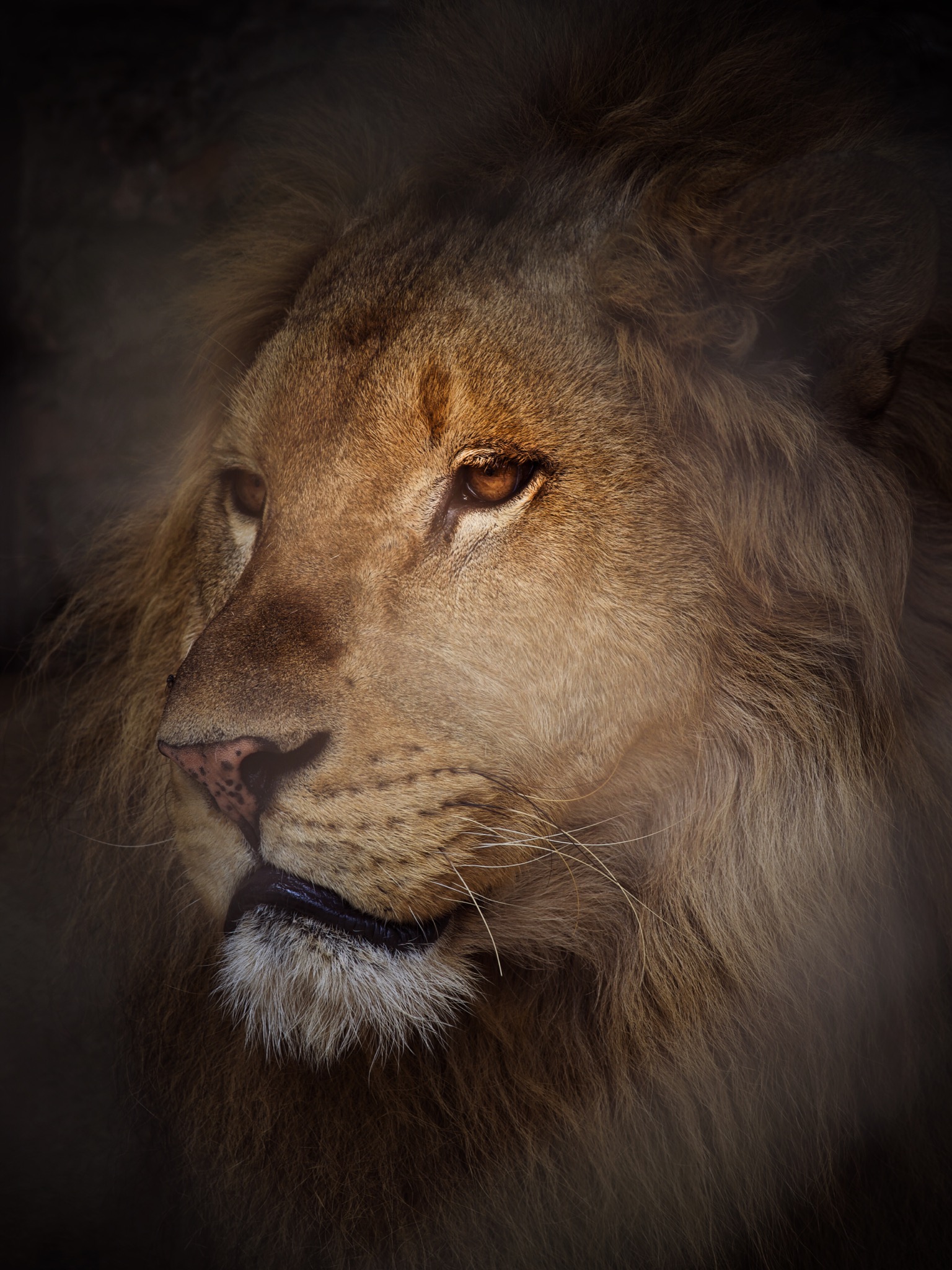 海口野生动物园动物园