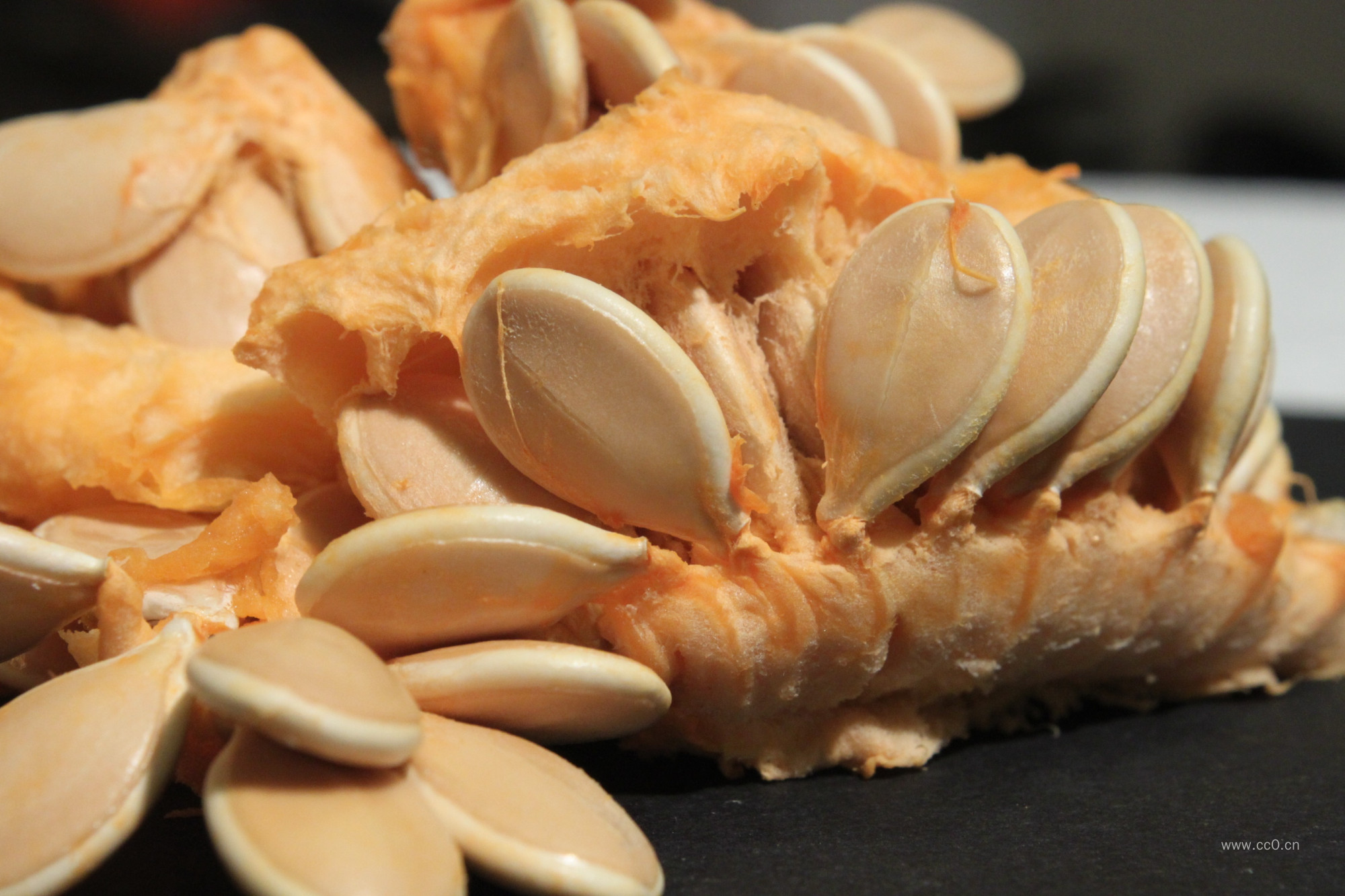 南瓜瓜瓤种子图片