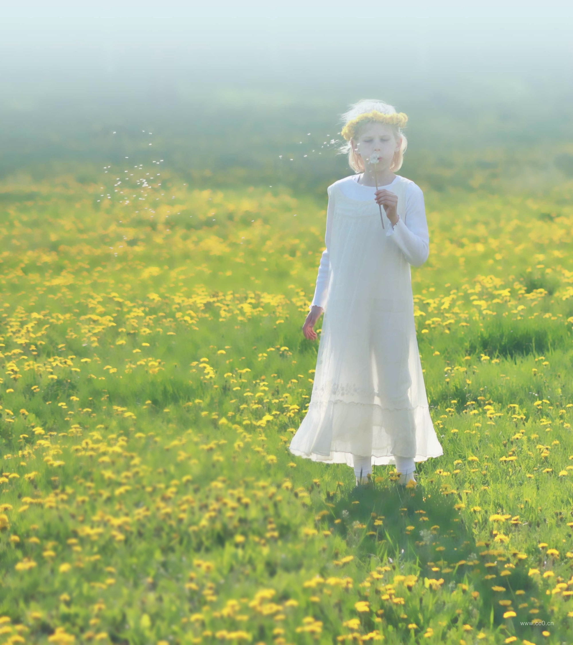 女孩吹蒲公英的唯美图片