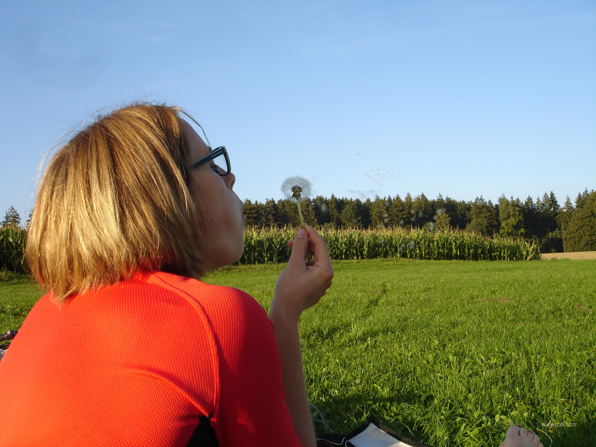 草地上吹蒲公英的女子
