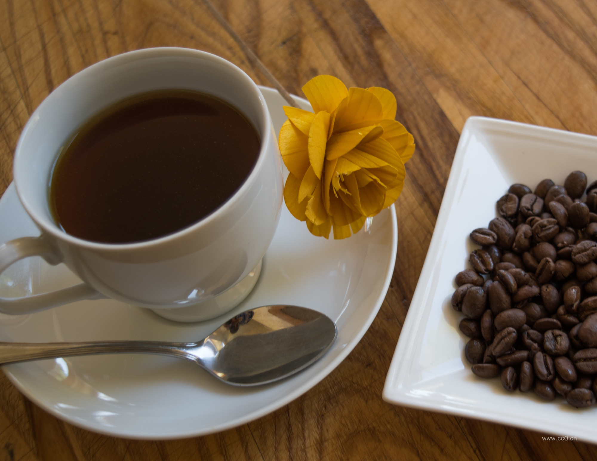 咖啡杯与咖啡豆图片