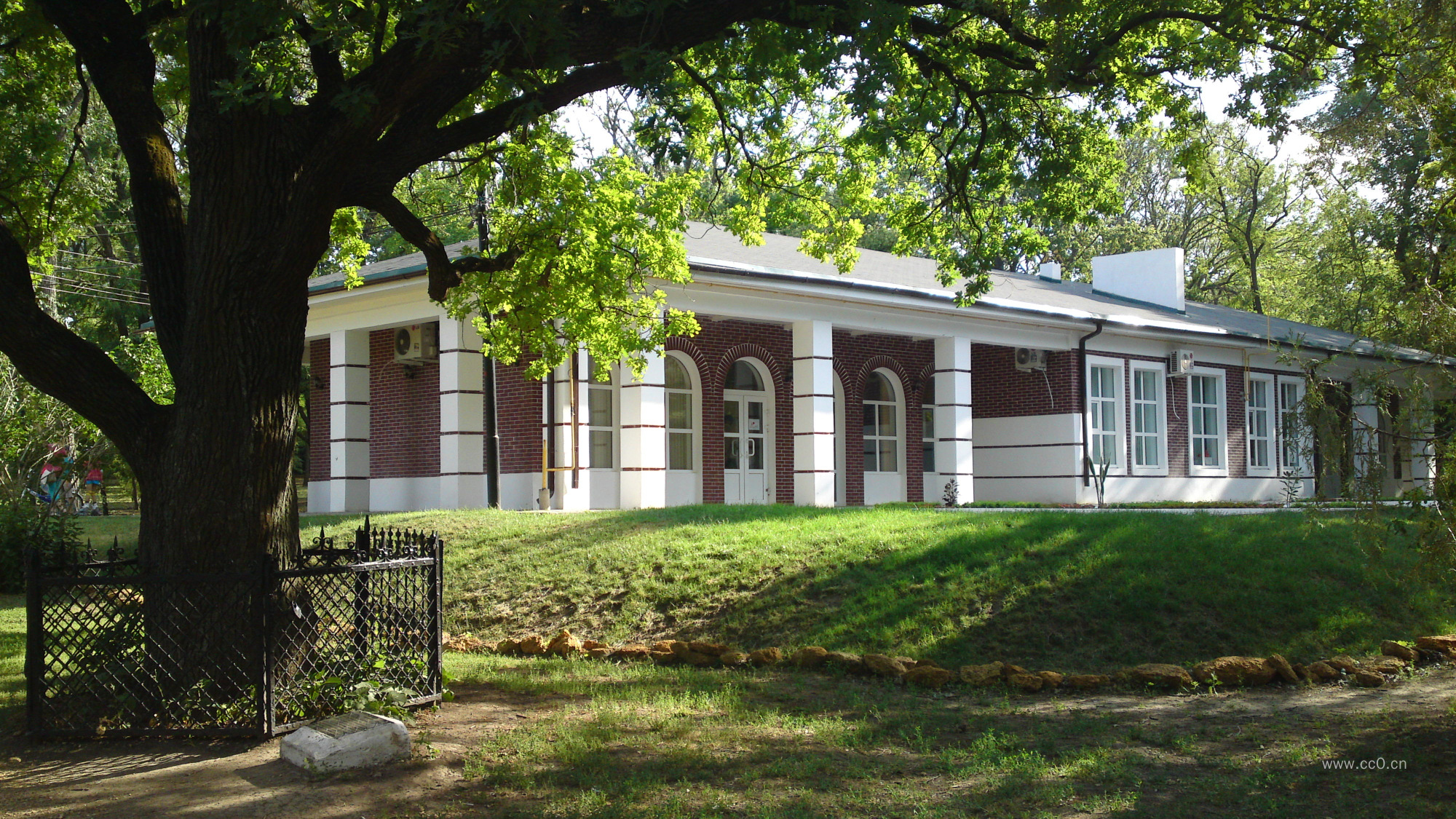 大树与房屋建筑图片