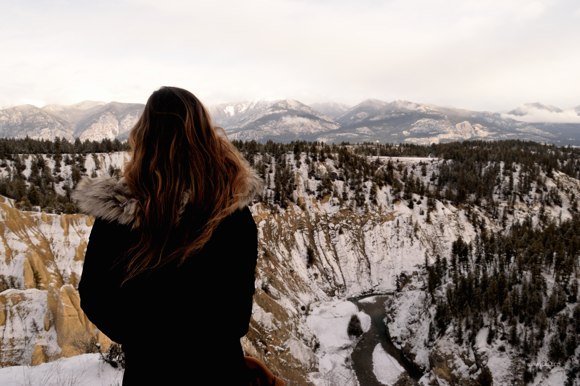 冬天户外的女生背影图片