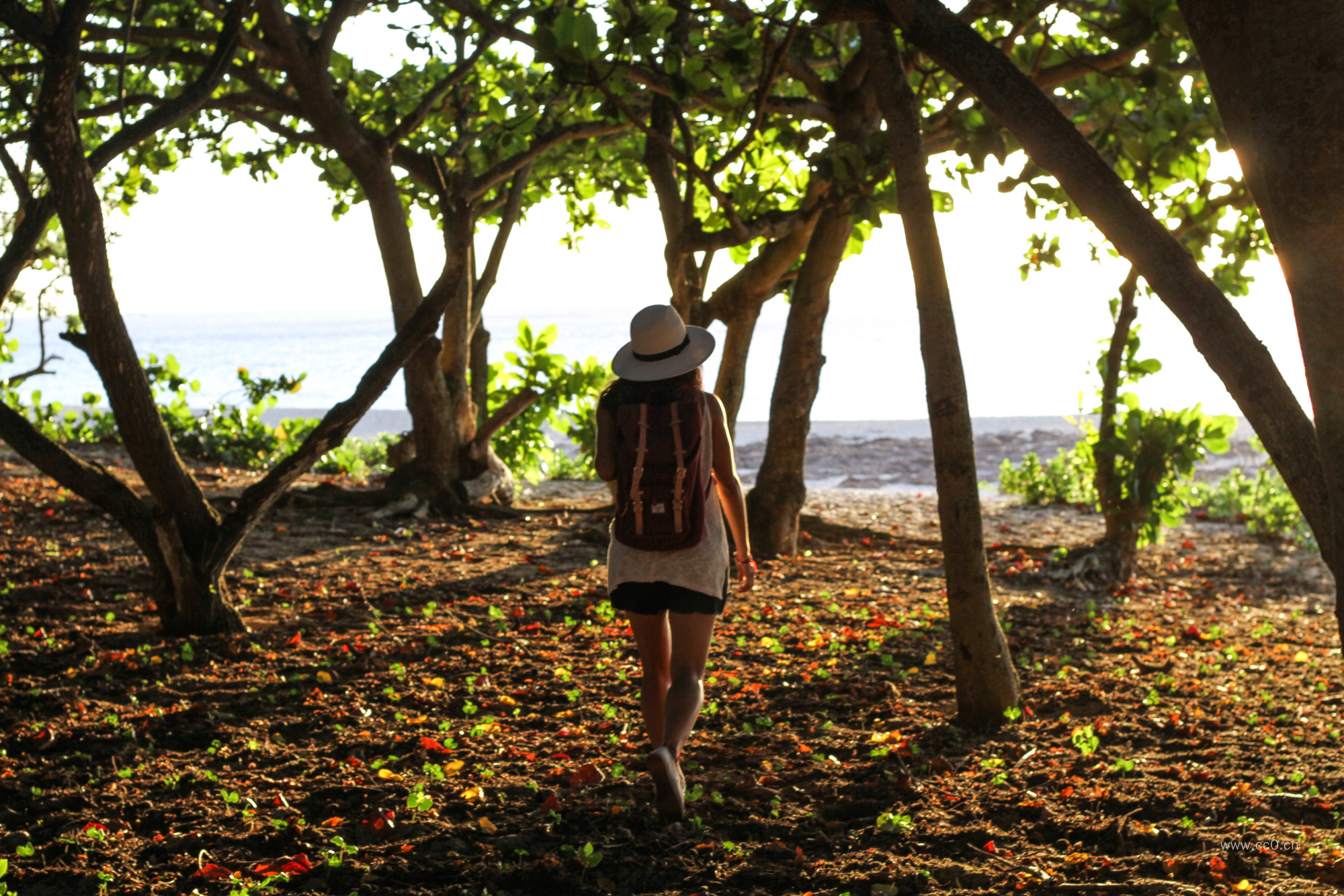 在行走的女性背影图片