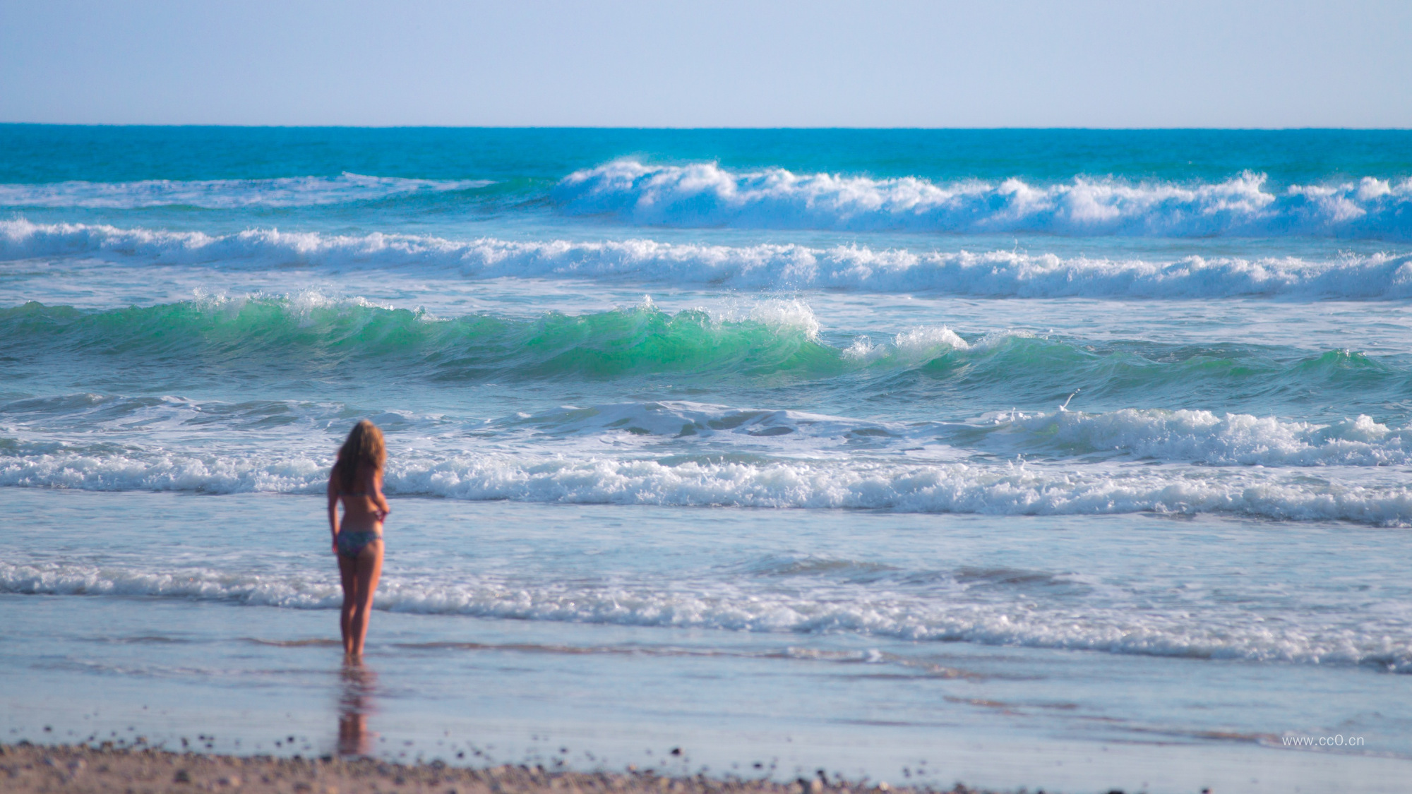 海面的海浪波浪与海边的女生人物背影