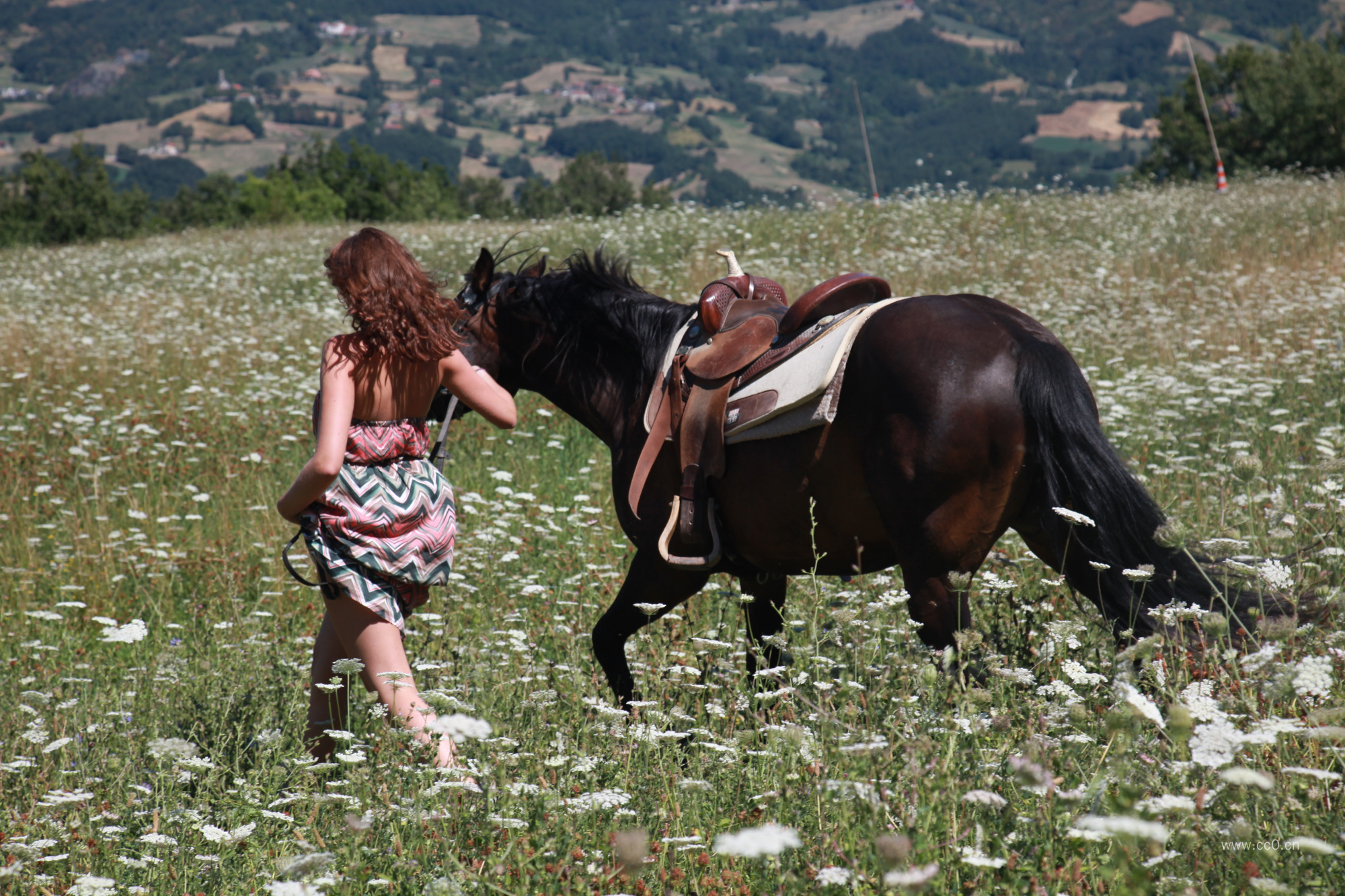 牵着马匹在野花丛中行走的美女人物