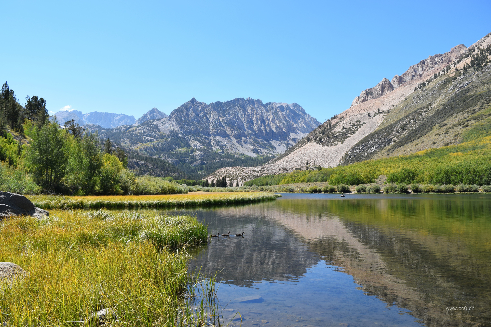 山下的湖泊沼泽地风景图片