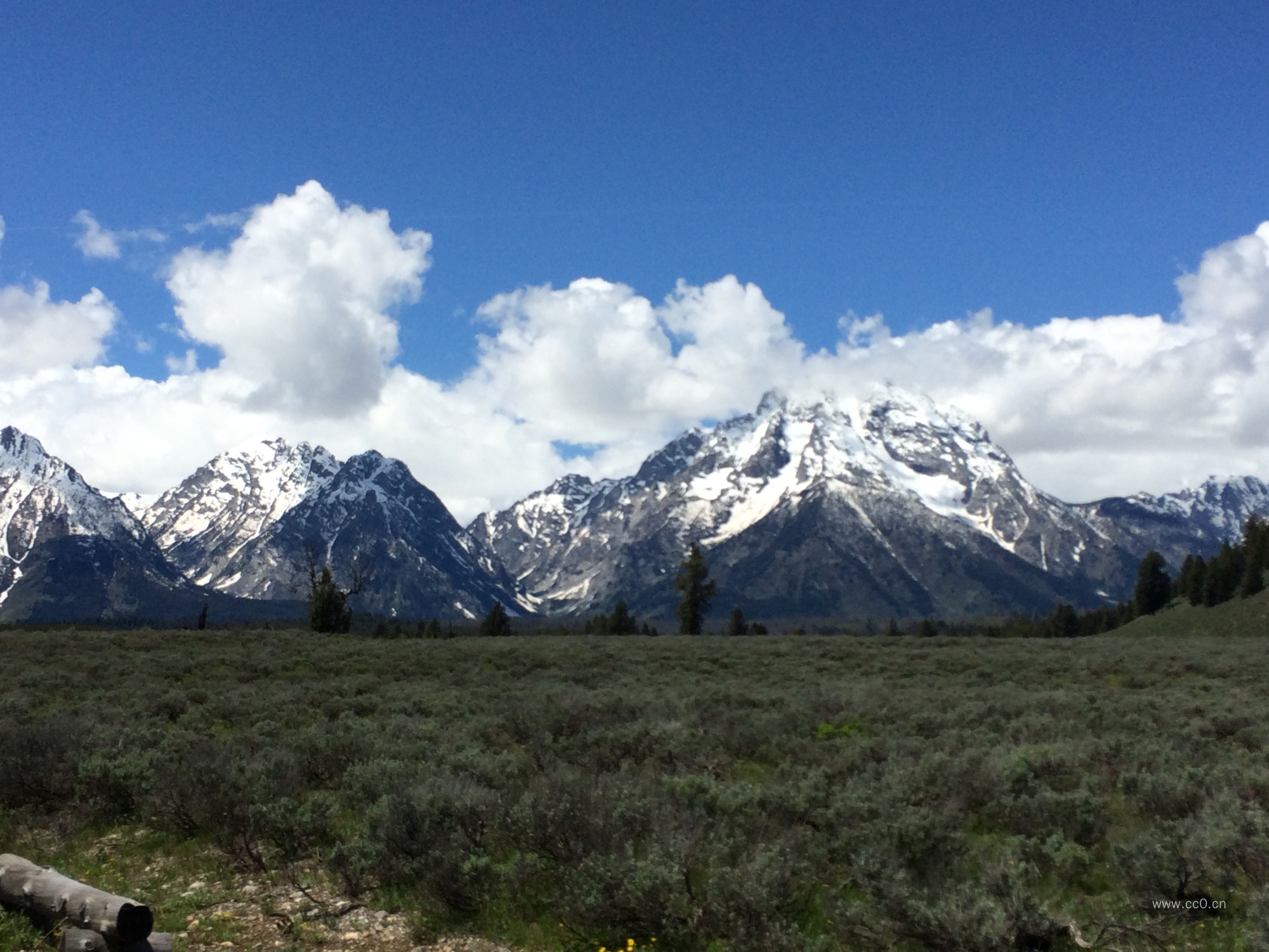 草地与山峰风景