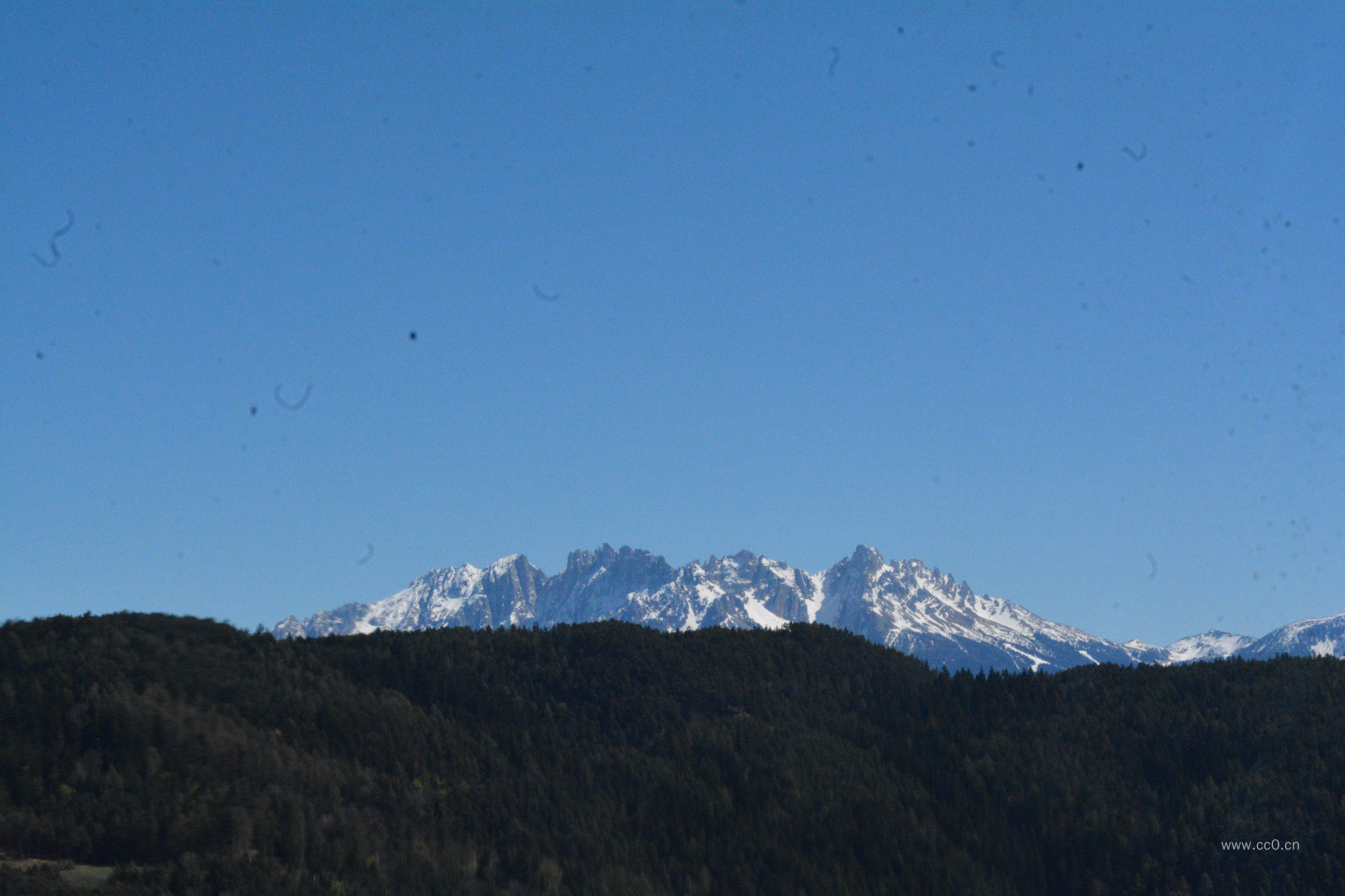 蓝天下的森林植被与山峰