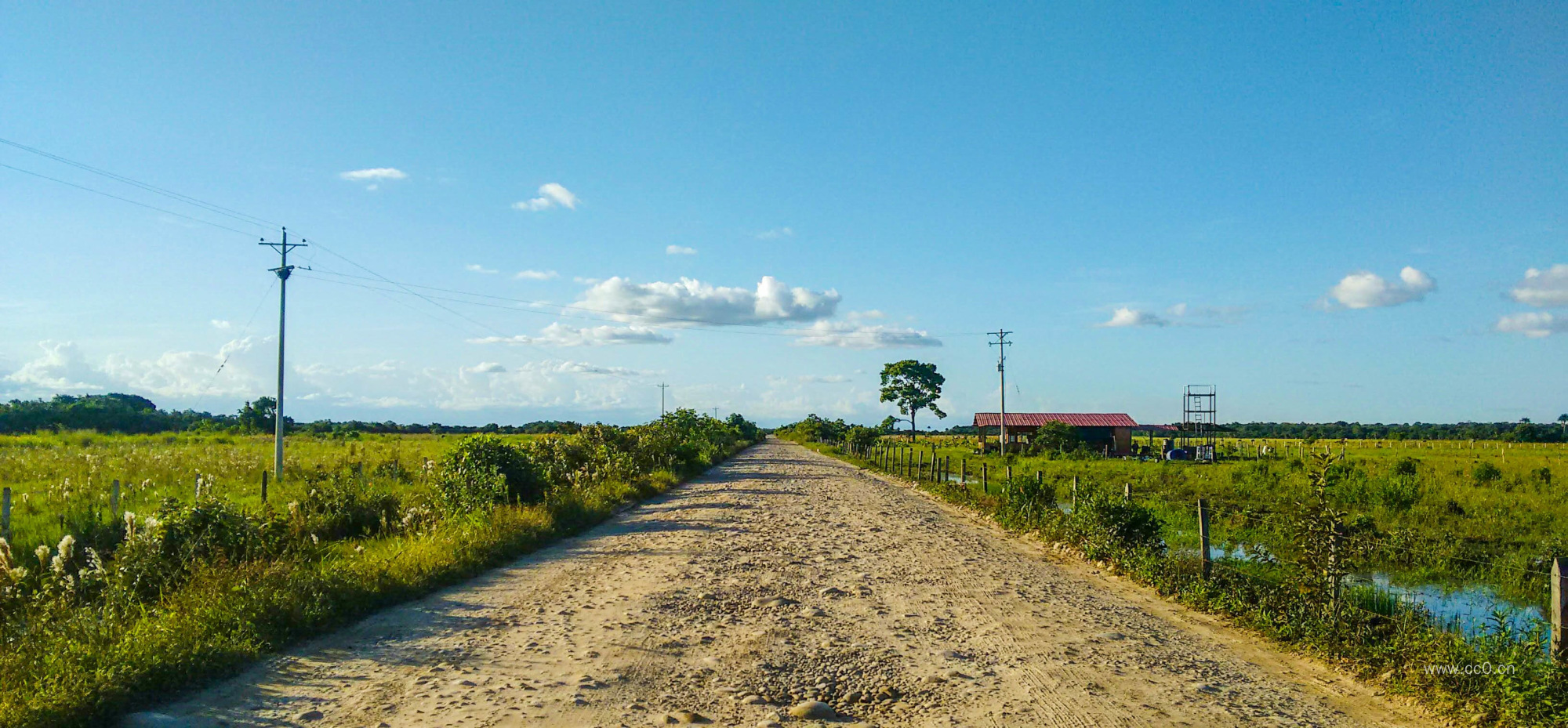 农村田园的道路图片