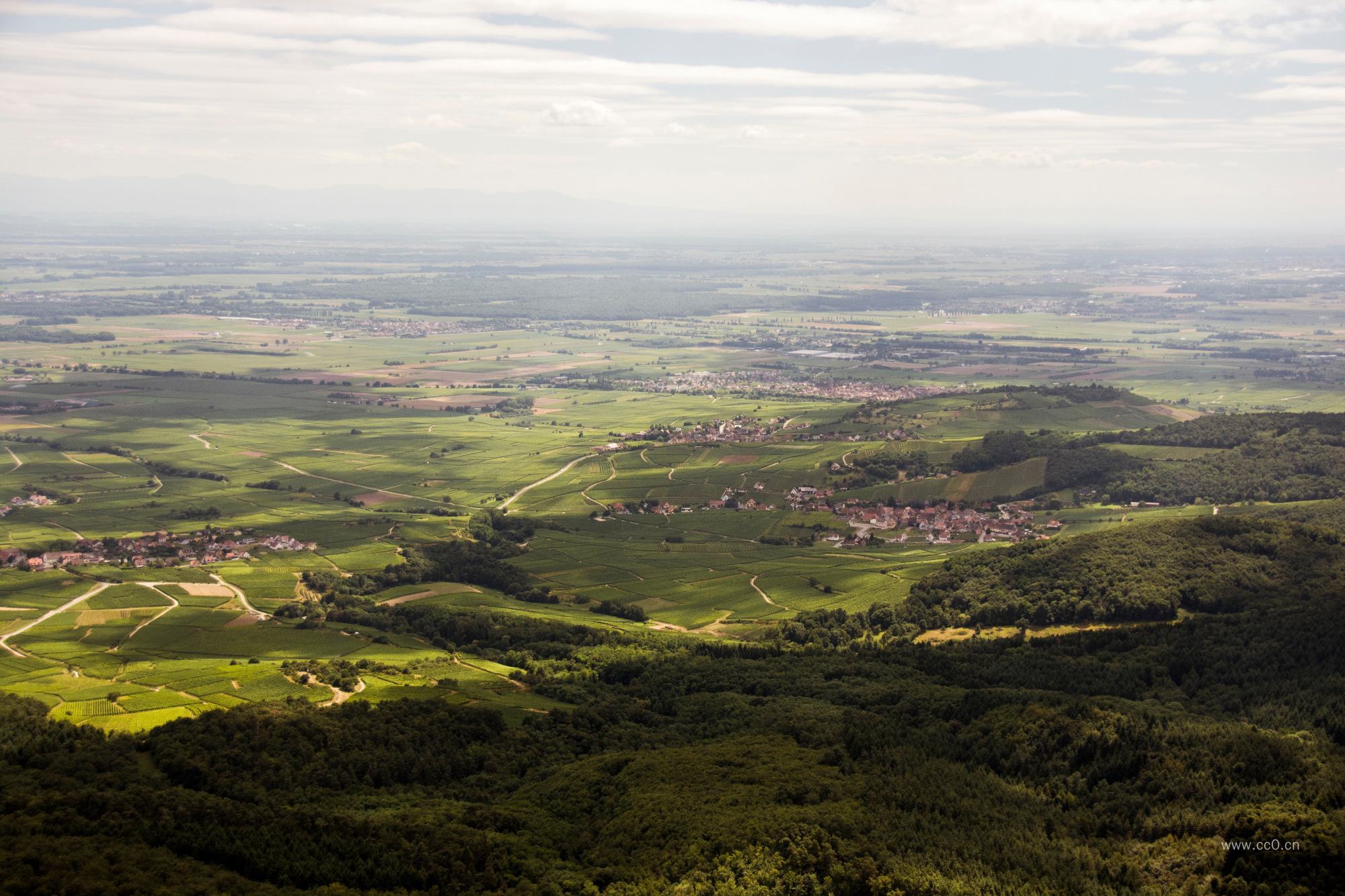 平川的绿色植被图片