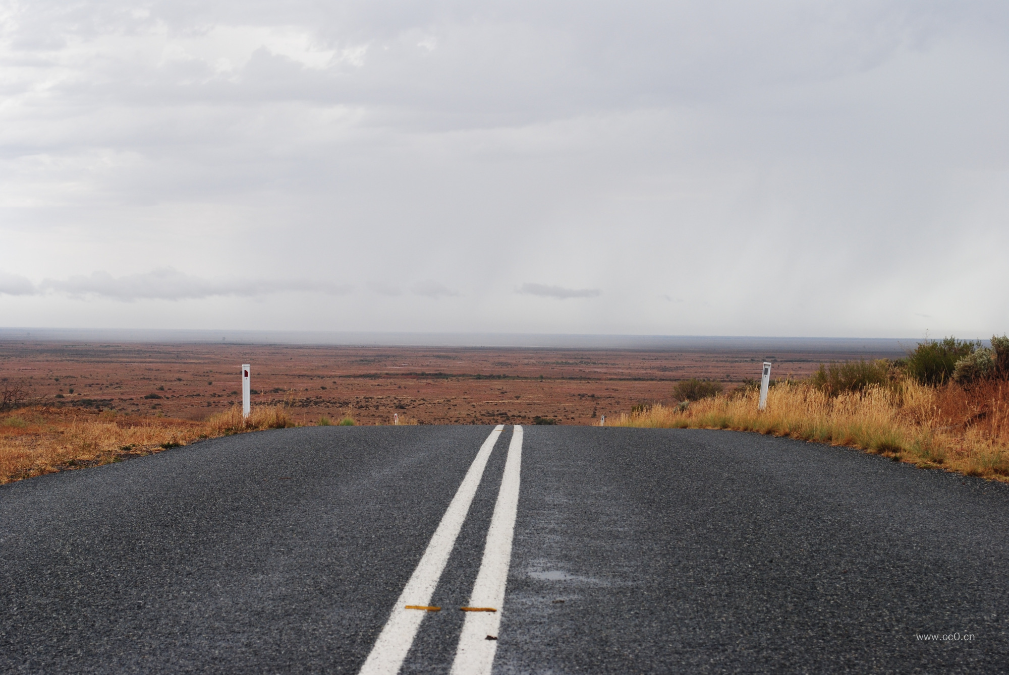 草原的沥青公路