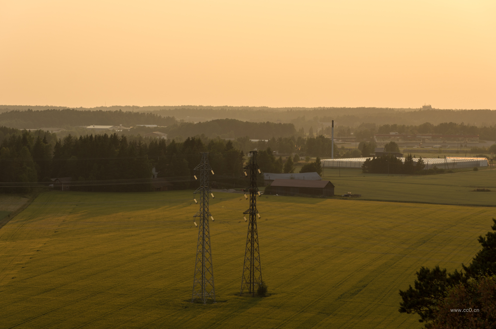 草坪上的电线杆