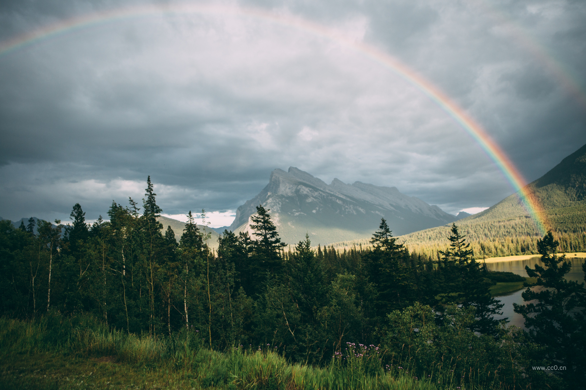 树林与彩虹风景图片