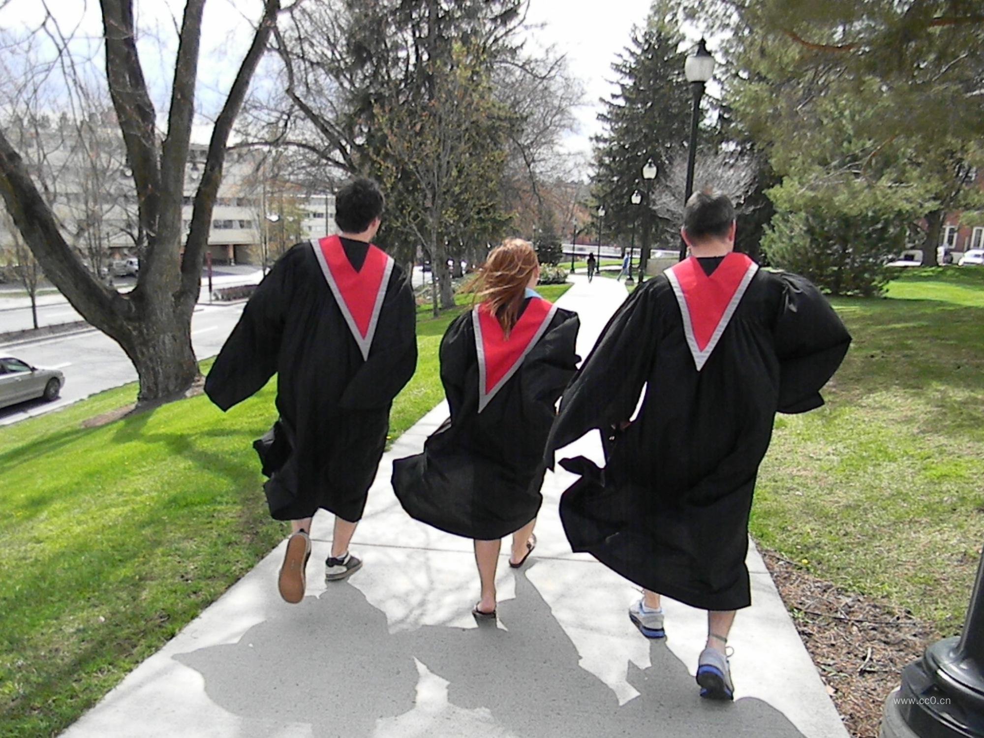 校园穿着学位服的毕业生背影图片