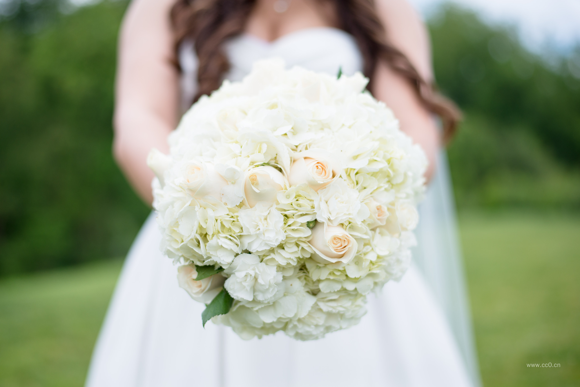 拿着白色花束的新娘