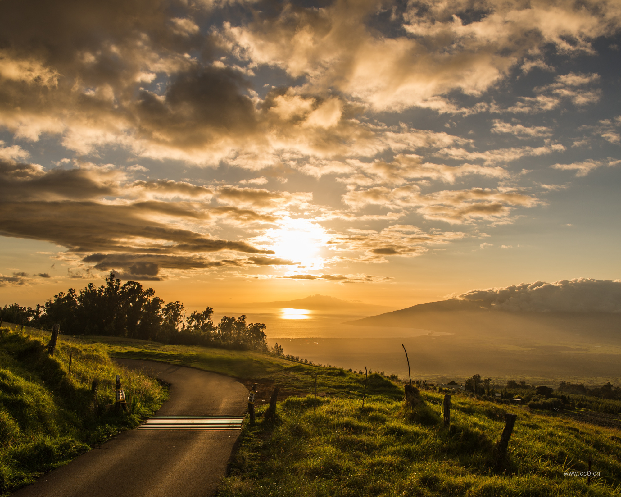 日出草地上的道路图片