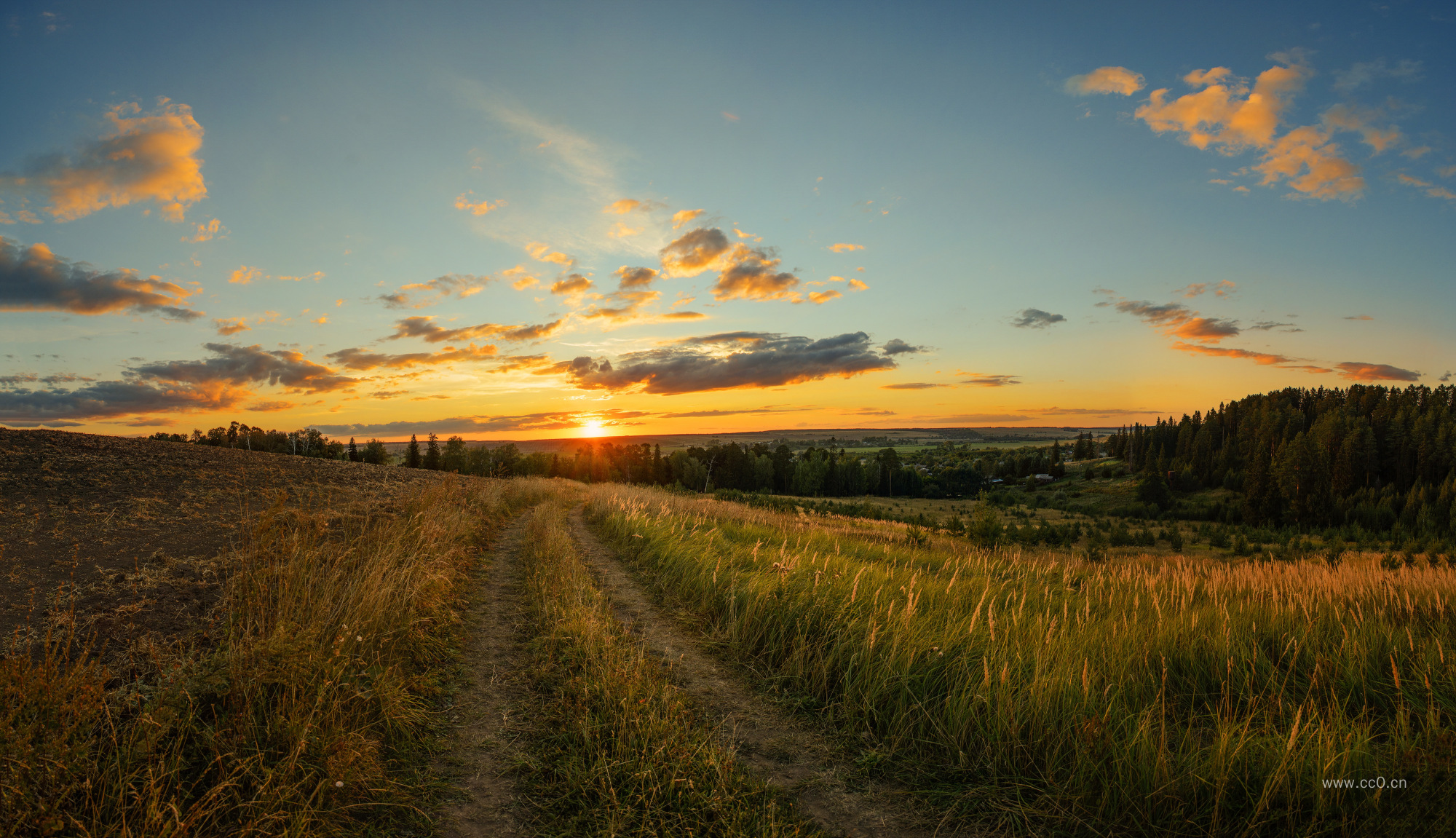 夕阳下草地上的道路