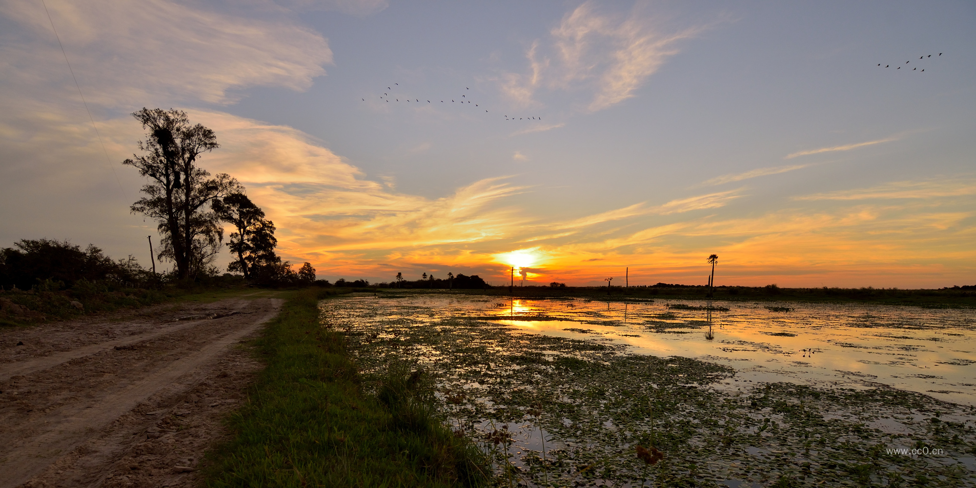 日落天空与沼泽岸边的路