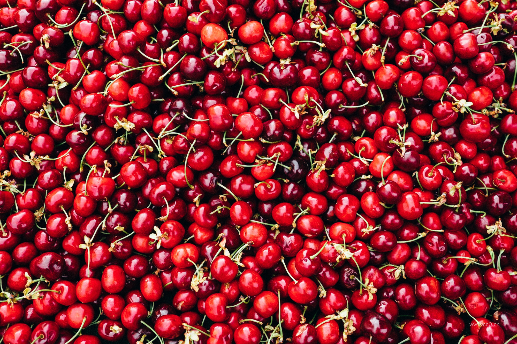 樱桃水果背景图片