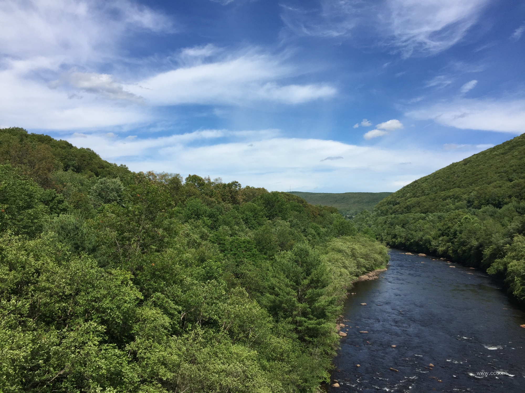 河流两岸的绿色植被
