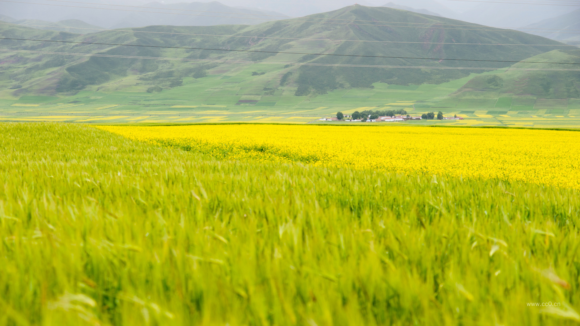 农村田园风景图片