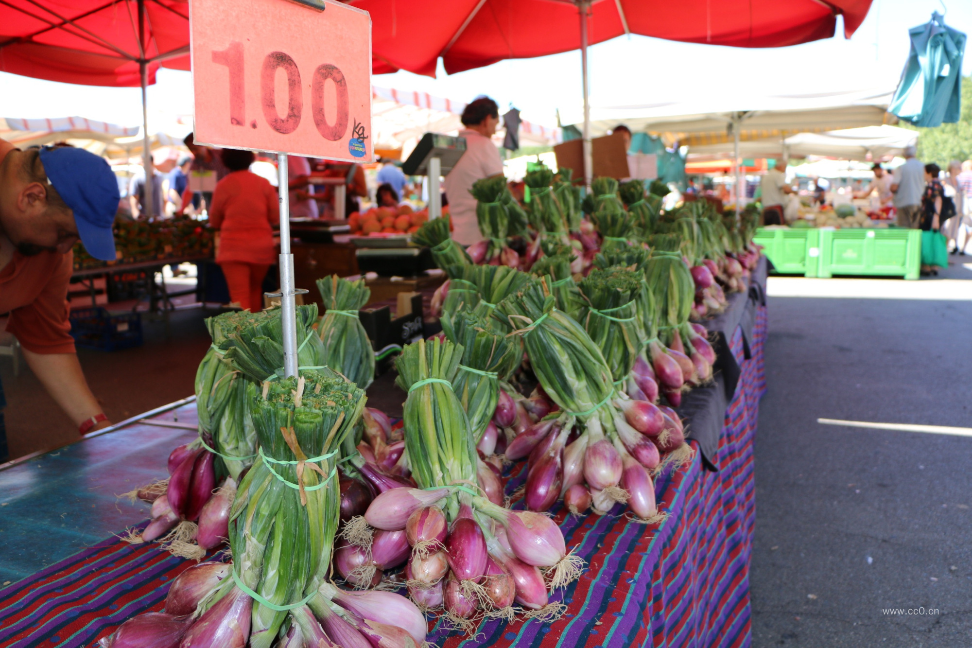 菜市场的洋葱图片