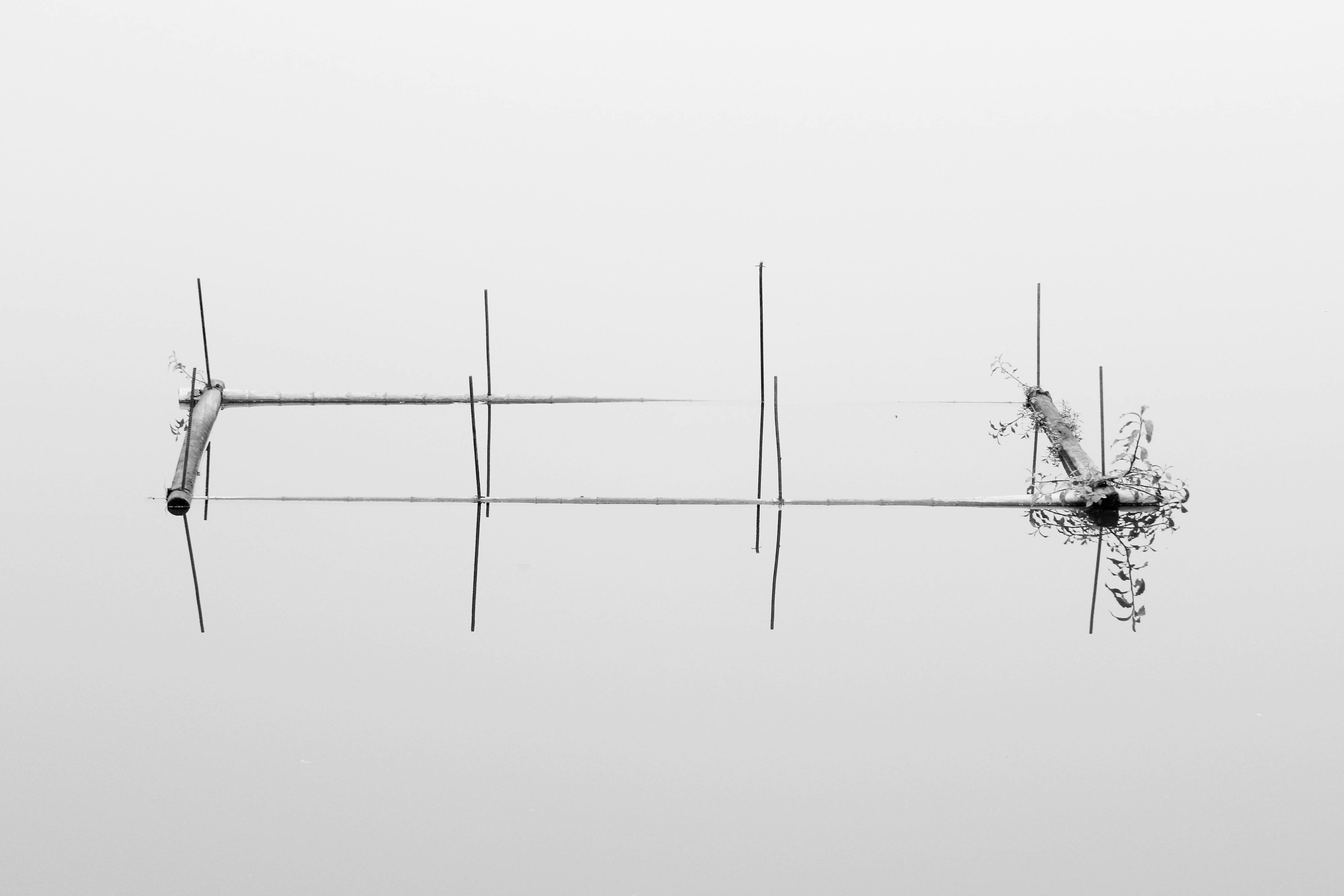 浙江某不知名小湖安静浙江
