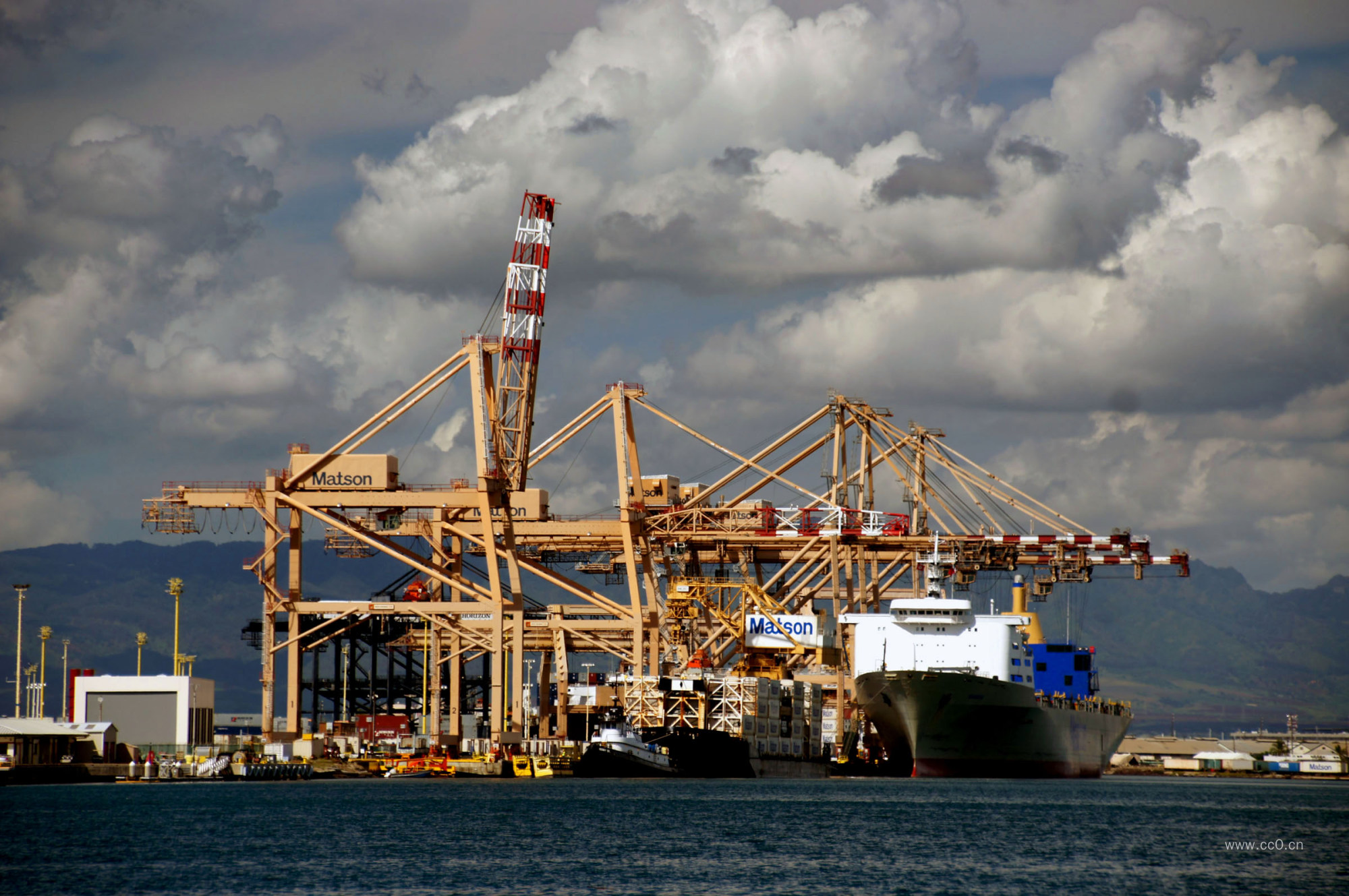 海港港口的货轮与起重机图片