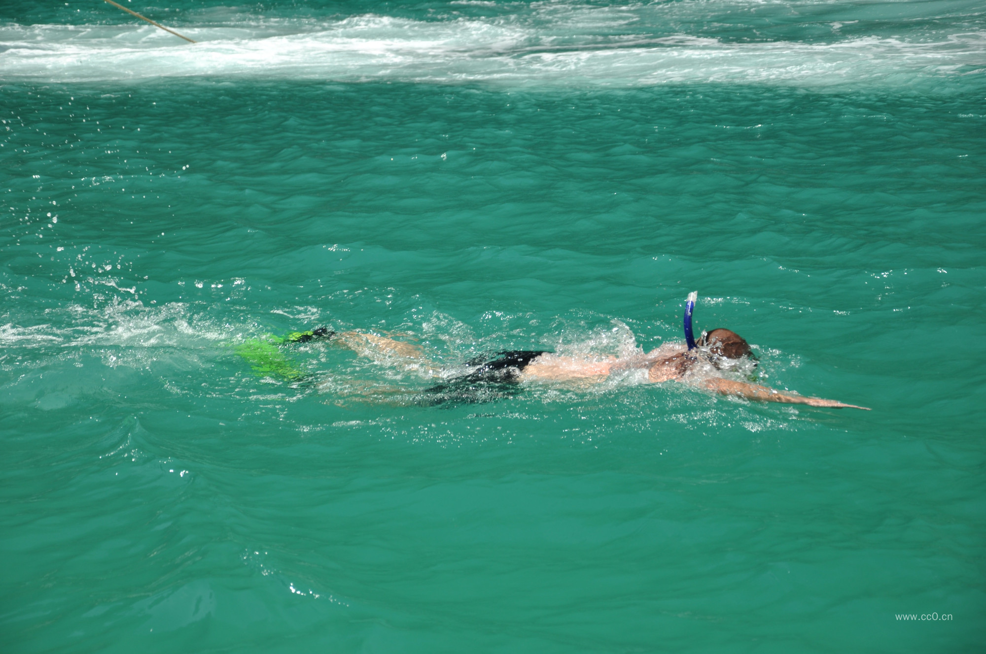 游泳的人物图片