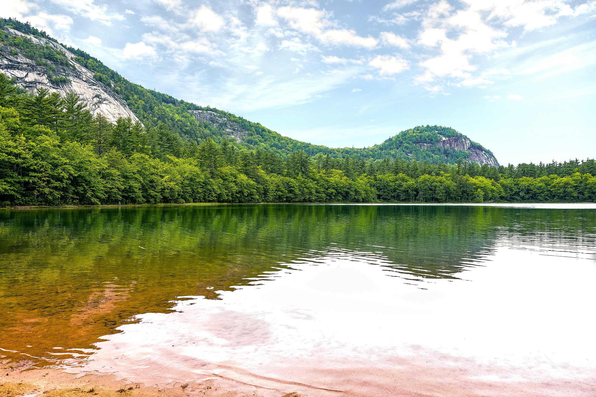 湖岸的树林植被山水风景图片