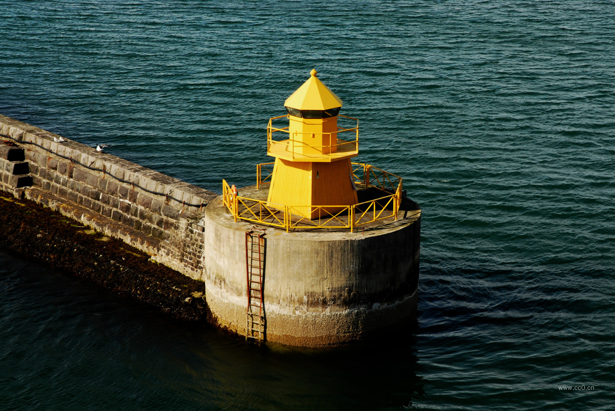 海中的灯塔图片