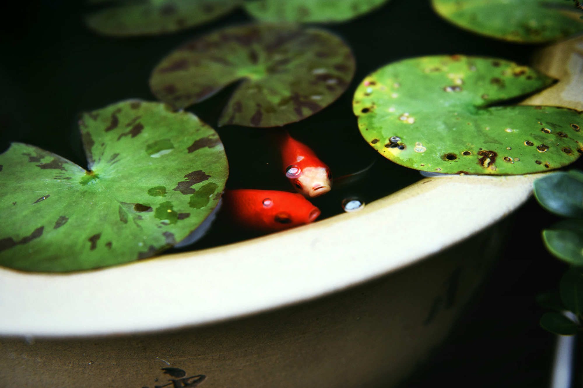 厦门民宿家中生活