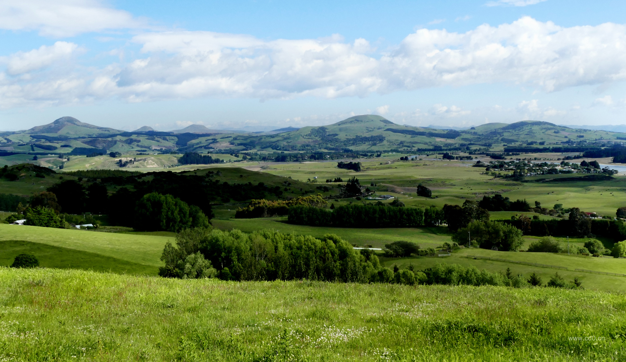 田园的草地绿色植被自然风景图片