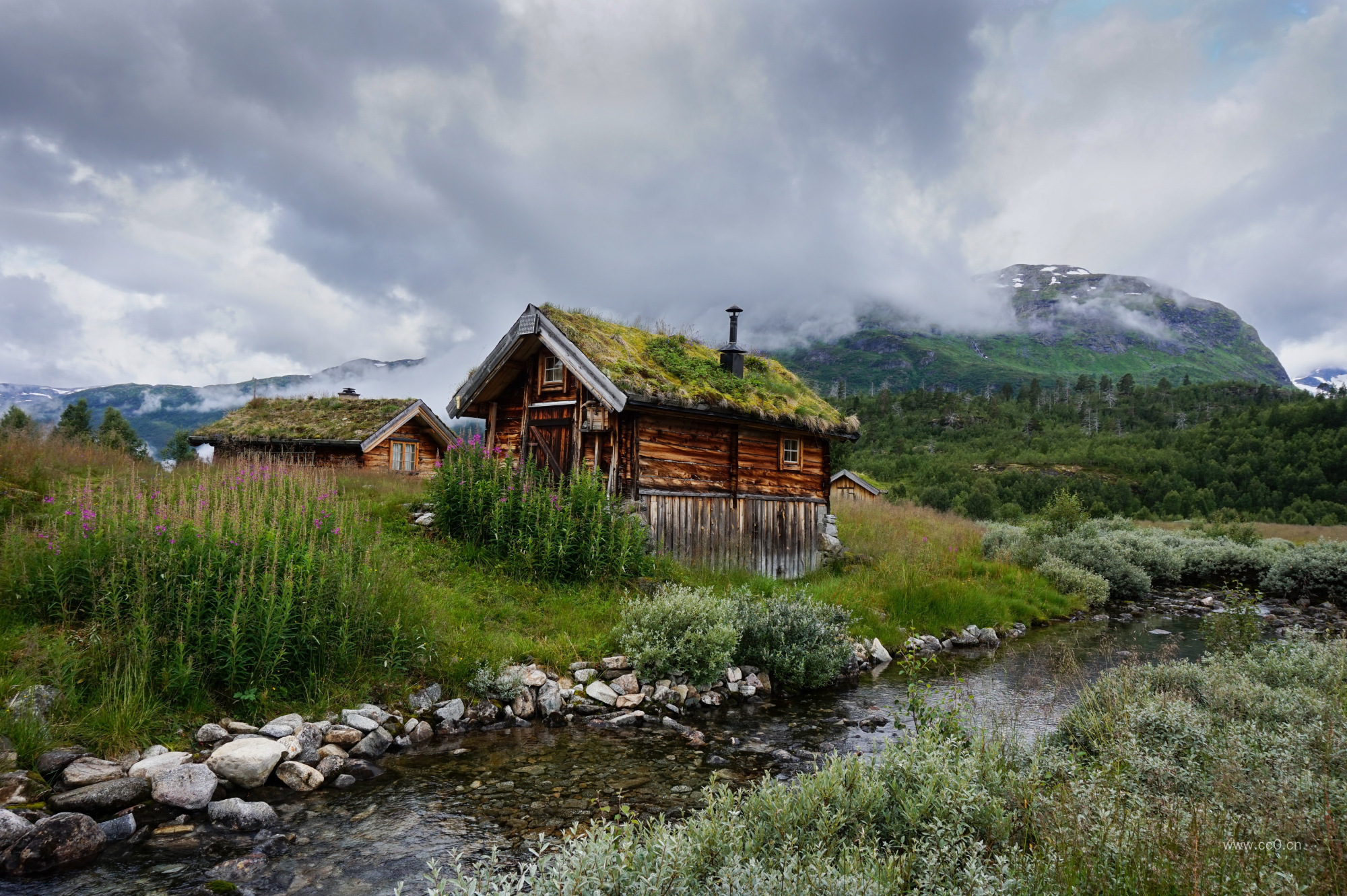 草地上伫立着一座小木屋