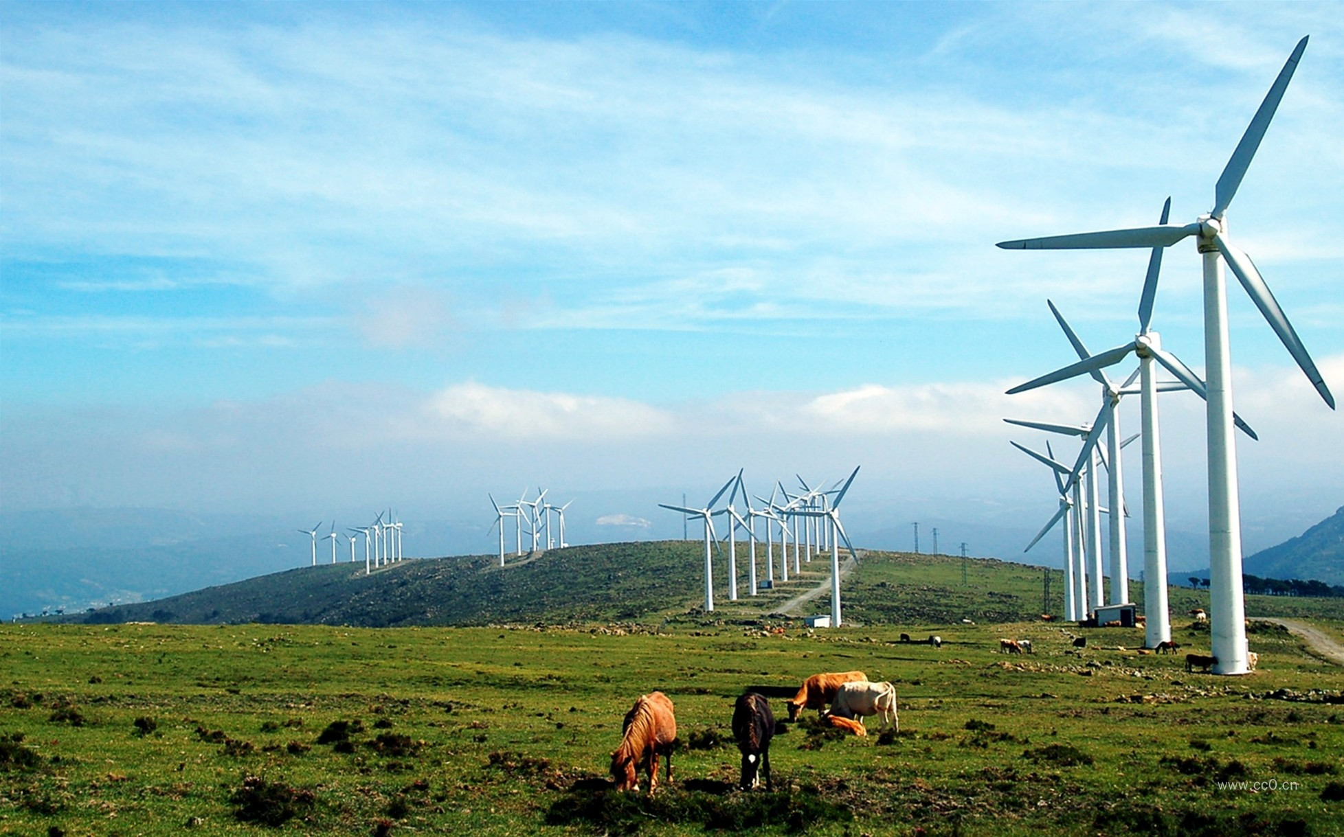牧场的风力发电风车图片