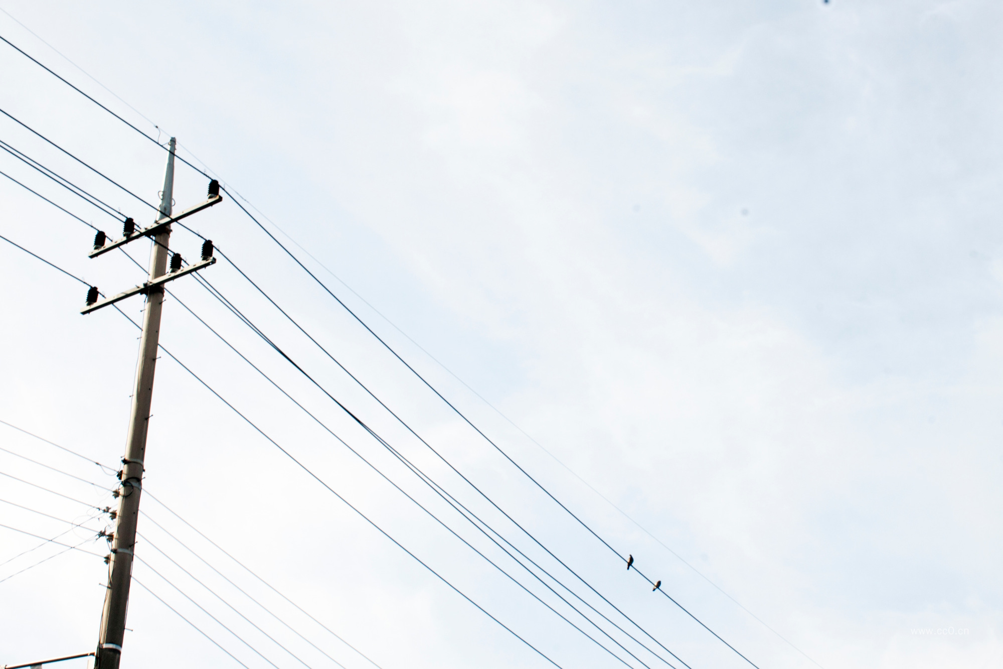 电线杆与电线图片