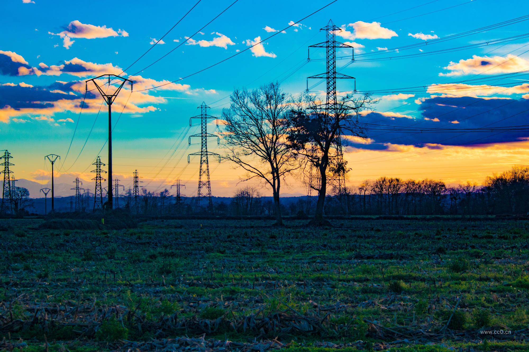 草地上的电线杆电力图片